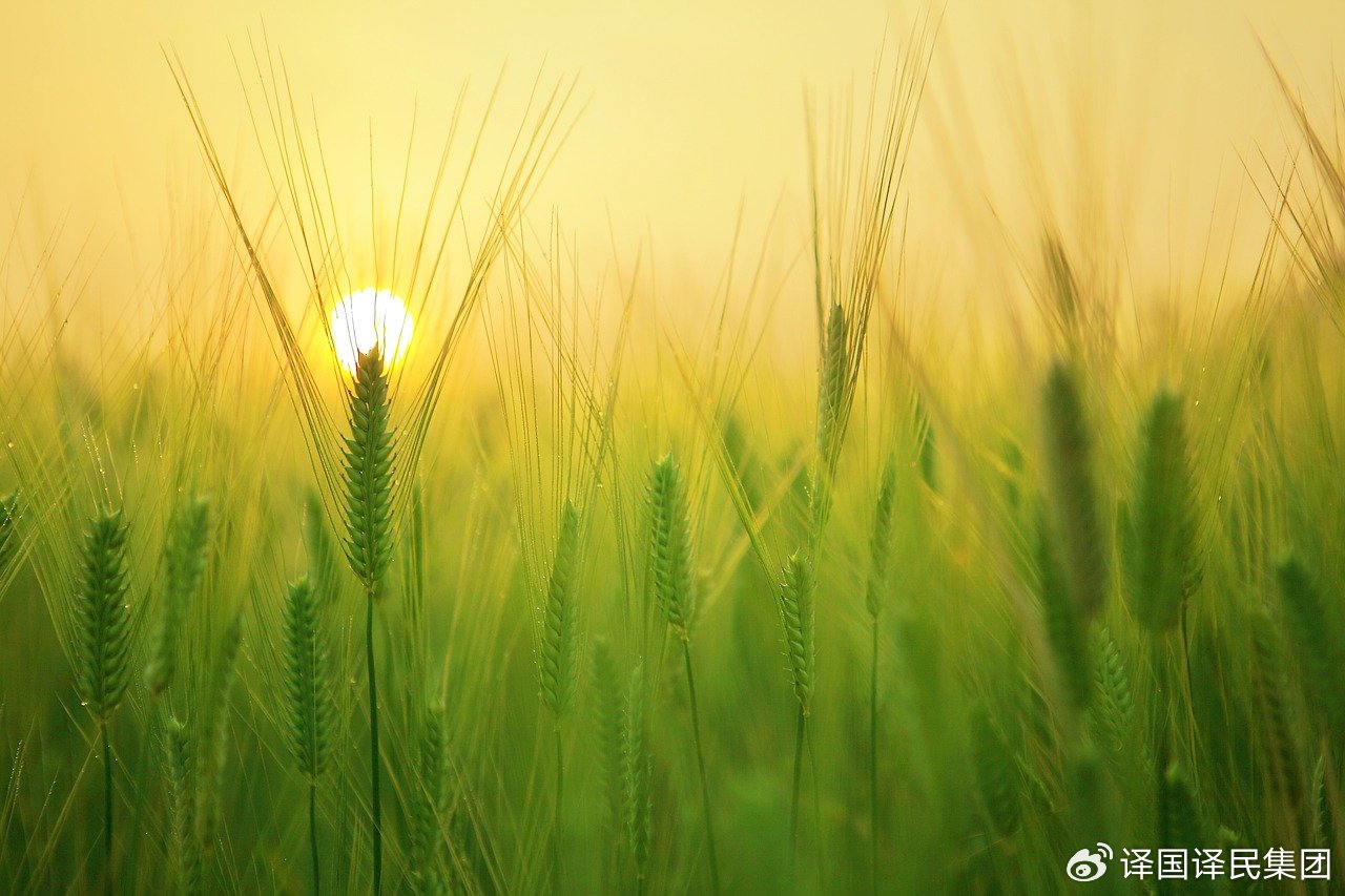 365体育官网_365体育亚洲官网